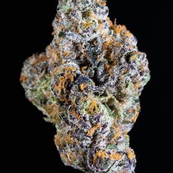 CONNECTED: Gushers Flower PREMIUM INDOOR